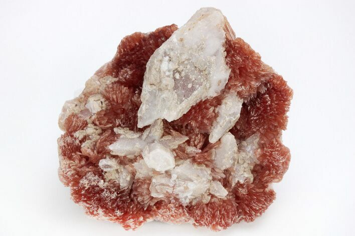 Fibrous, Rose-Red Inesite & Calcite Associaiton - South Africa #210755